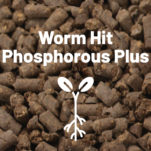 Worm Hit Phosphorous Plus